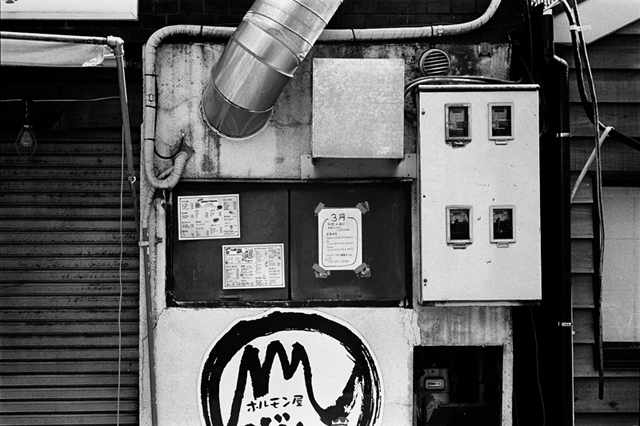 ���U���ʐ^�A���o�� f-2014.03.16Yokohama-M3-Summicron50mmF2Rigid-400TX-D76-undiluted-098.jpg 2014.03.16<BR>���l<BR>M3 Summicron50mmF2Rigid<BR>400TX D76 undiluted
