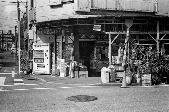 ���U���ʐ^�A���o�� f-2014.03.21Yokohama-M3-Summicron50mmF2Rigid-400TX-D76-undiluted-36.jpg 2014.03.21<BR>���l<BR>M3 Summicron50mmF2Rigid<BR>400TX D76 undiluted