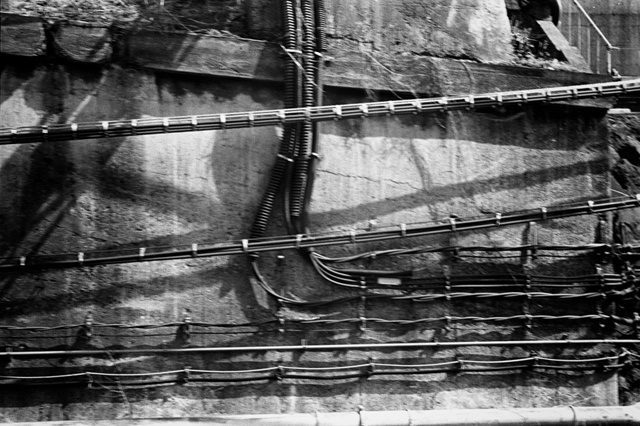 ���U���ʐ^�A���o�� f-2014.03.21Yokohama-M3-Summicron50mmF2Rigid-400TX-D76-undiluted-51.jpg 2014.03.21<BR>���l<BR>M3 Summicron50mmF2Rigid<BR>400TX D76 undiluted