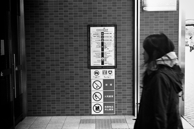 ���U���ʐ^�A���o�� f-2014.03.21Yokohama-M3-Summicron50mmF2Rigid-400TX-D76-undiluted-54.jpg 2014.03.21<BR>���l<BR>M3 Summicron50mmF2Rigid<BR>400TX D76 undiluted