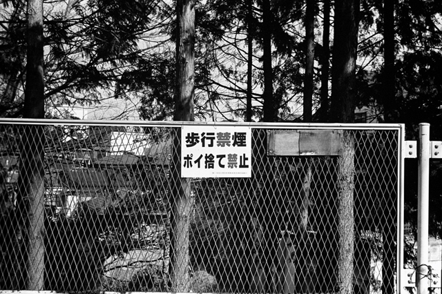 ���U���ʐ^�A���o�� f-2014.03.21Yokohama-M3-Summicron50mmF2Rigid-400TX-D76-undiluted-60.jpg 2014.03.21<BR>���l<BR>M3 Summicron50mmF2Rigid<BR>400TX D76 undiluted