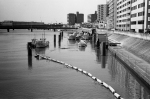 ���U���ʐ^�A���o�� 2014.03.21Yokohama M3 Summicron50mmF2Rigid 400TX D76 undiluted 13 2014.03.21 ���l M3 Summicron50mmF2Rigid 400TX D76 undiluted