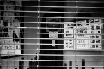 ���U���ʐ^�A���o�� 2014.03.21Yokohama M3 Summicron50mmF2Rigid 400TX D76 undiluted 34 2014.03.21 ���l M3 Summicron50mmF2Rigid 400TX D76 undiluted