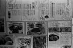 ���U���ʐ^�A���o�� 2014.03.21Yokohama M3 Summicron50mmF2Rigid 400TX D76 undiluted 37 2014.03.21 ���l M3 Summicron50mmF2Rigid 400TX D76 undiluted