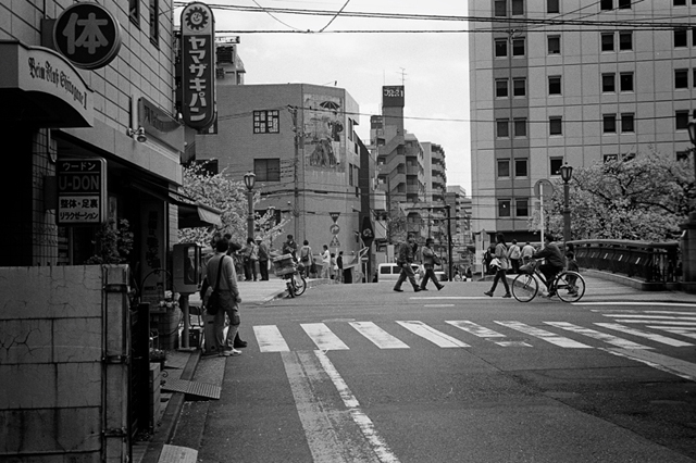 ���U���ʐ^�A���o�� f-2014.04.05Yokohama-M3-Summicron50mmF2Rigidlate-400TX-D76-undiluted-28.jpg 2014.04.05<BR>���l (2)<BR>M3 Summicron50mmF2Rigid-late<BR>400TX D76 undiluted